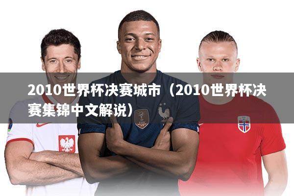 2010世界杯决赛城市（2010世界杯决赛集锦中文解说）